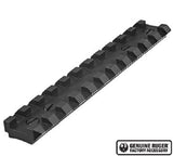 Ruger 10/22 picitinny rail