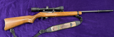 Ruger 10/22 Scoped/Supressed