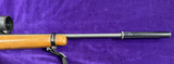 Ruger 10/22 Scoped/Supressed