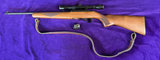 Ruger 10/22