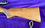 Ruger 10/22