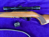 Ruger 10/22