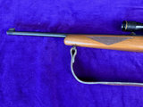 Ruger 10/22