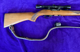 Ruger 10/22
