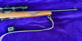 Ruger 10/22