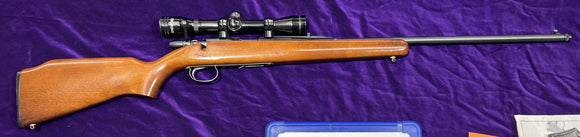 Remington 581 .22