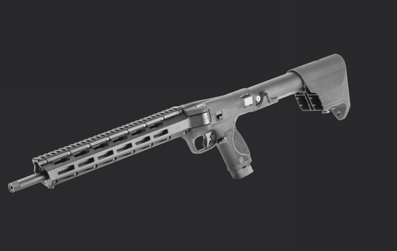 S&W M&P FPC CARBINE 22LR - Due feb/mar 26 - taking orders now